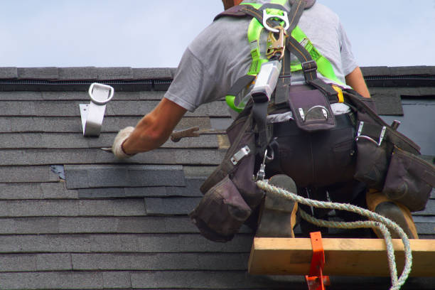 Best Flat Roof Repair Services  in Tinley Park, IL